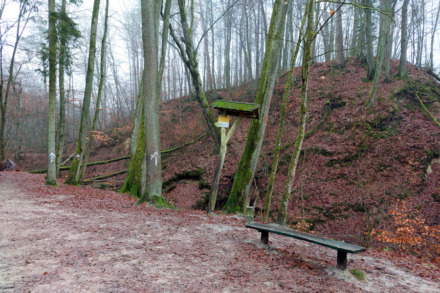 Bażantarnia w Elblągu